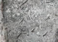Inscripción con el nombre del héroe caballero suizo encontrada en la tumba del rey David