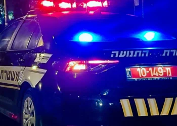 Encuentran a un joven de 18 años muerto a tiros en un vivero