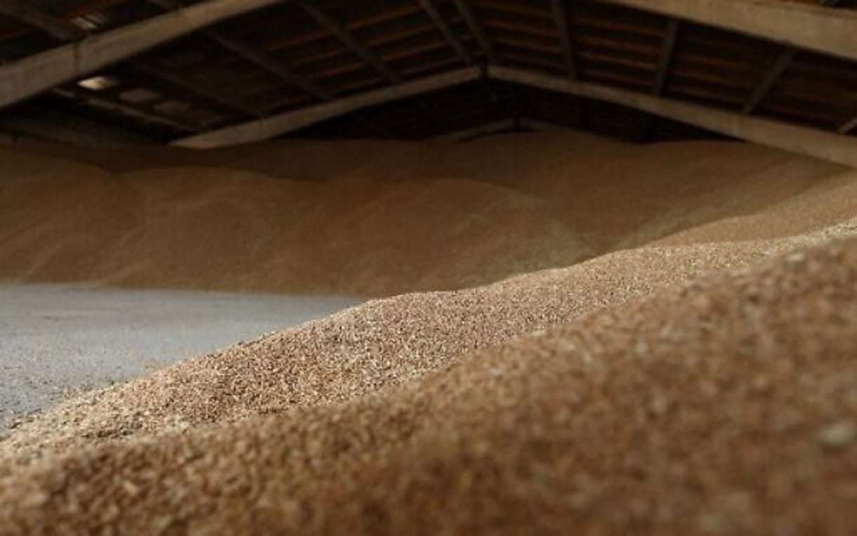 La suspensión del acuerdo sobre cereales por parte de Rusia perjudicará a los países más pobres