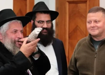 El jefe militar de Ucrania insta a su país a aprender de Israel