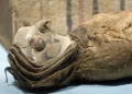 Halcones sin cabeza hallados en un antiguo templo egipcio