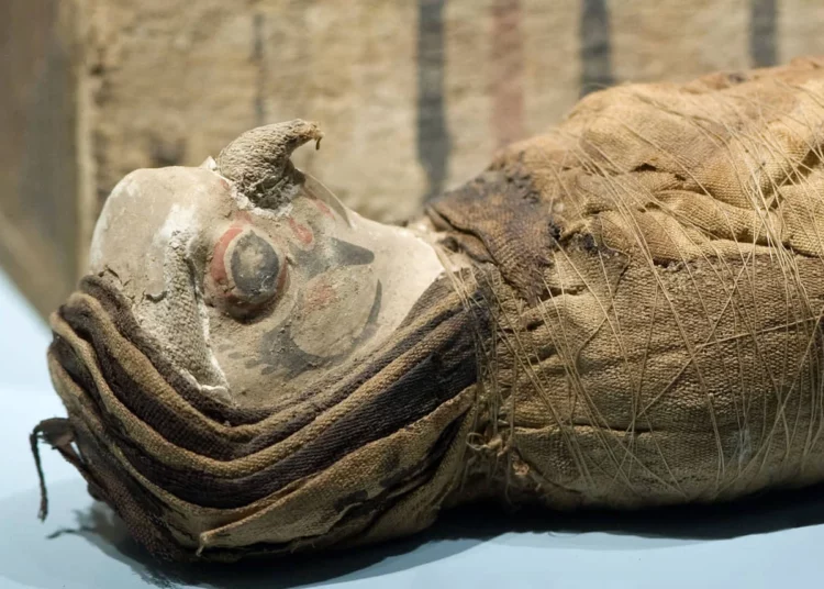 Halcones sin cabeza hallados en un antiguo templo egipcio