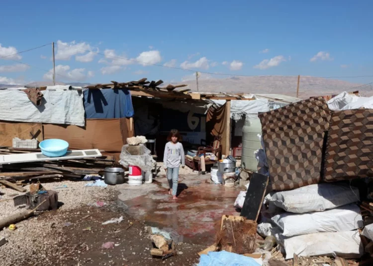 Brote de cólera afecta a los refugiados sirios en el Líbano