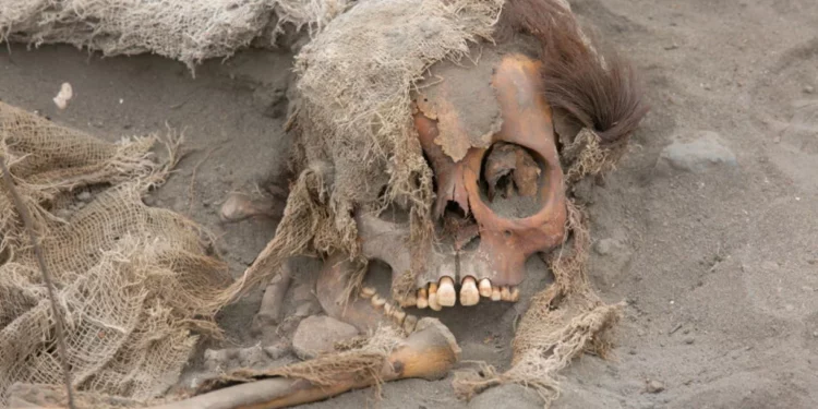 Arqueólogos descubren los cuerpos de 76 niños con el corazón extraído en Perú