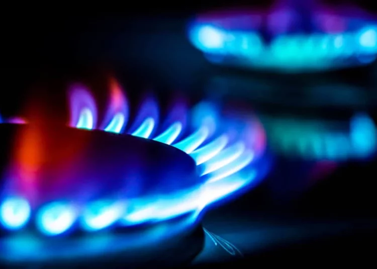 El precio del gas natural en EE.UU. alcanza su máximo en dos semanas
