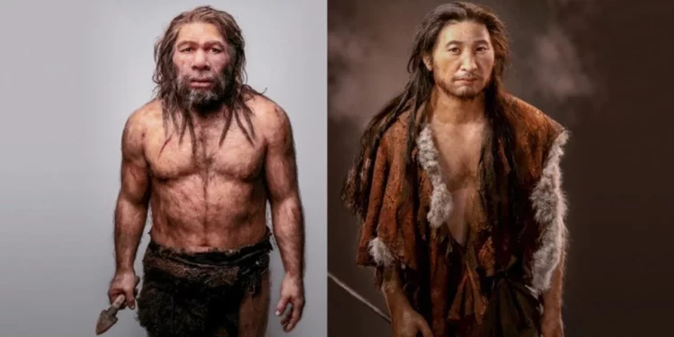 Neandertales y humanos convivieron en Europa durante miles de años