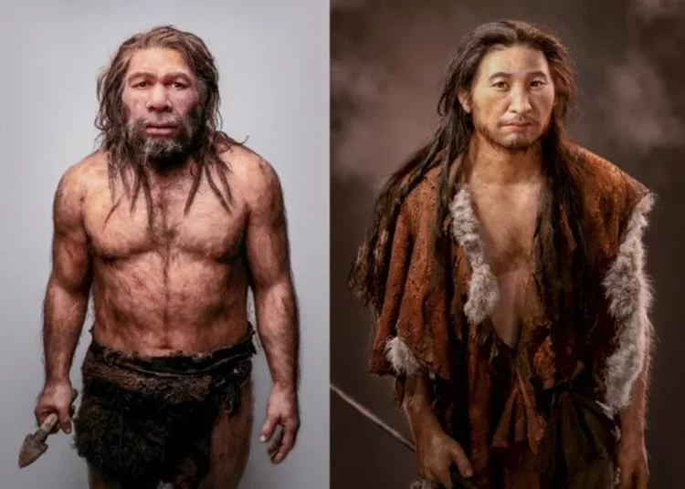 Neandertales y humanos convivieron en Europa durante miles de años
