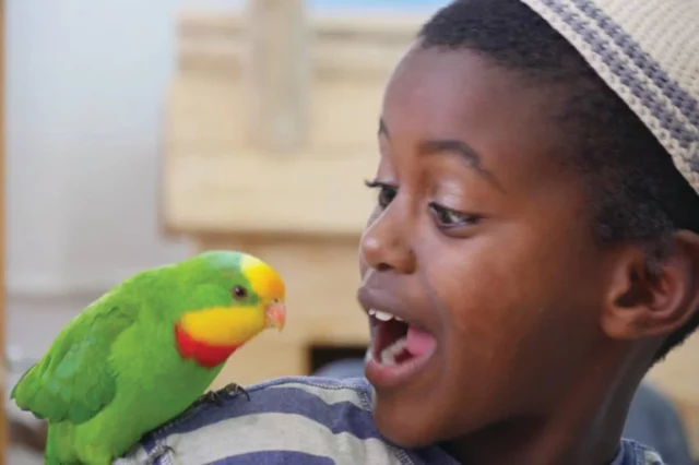 Animal Angels: Una ONG israelí que ofrece terapia con animales