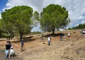 Récord de 1,5 millones de israelíes visitaron parques nacionales durante las vacaciones de Sucot