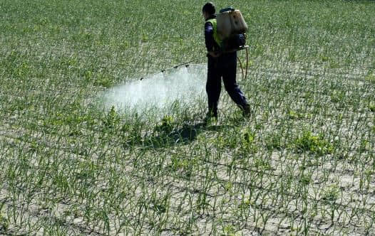Pesticida moderno acelera la corrosión de un antiguo cuenco romano