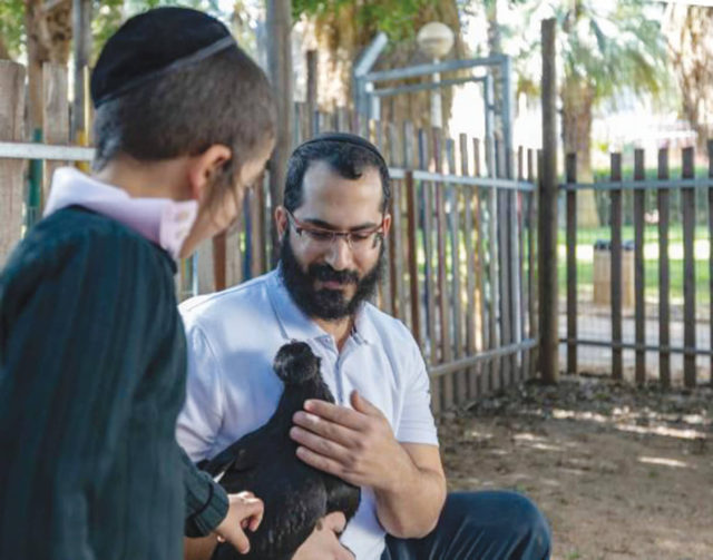 Animal Angels: Una ONG israelí que ofrece terapia con animales