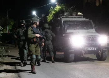 FDI:Redadas en Judea y Samaria frustaron mas de 500 ataques terroristas