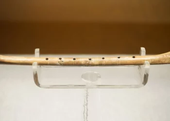 Descubren una rara flauta tallada en hueso en Inglaterra