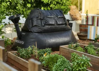 HomeBiogas de Israel lidera el campo de la tecnología climática en la COP27