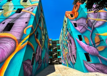 Murales vívidos de un artista israelí dan vida a los edificios
