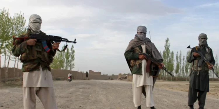 Talibanes de Pakistán ponen fin al alto el fuego con el gobierno
