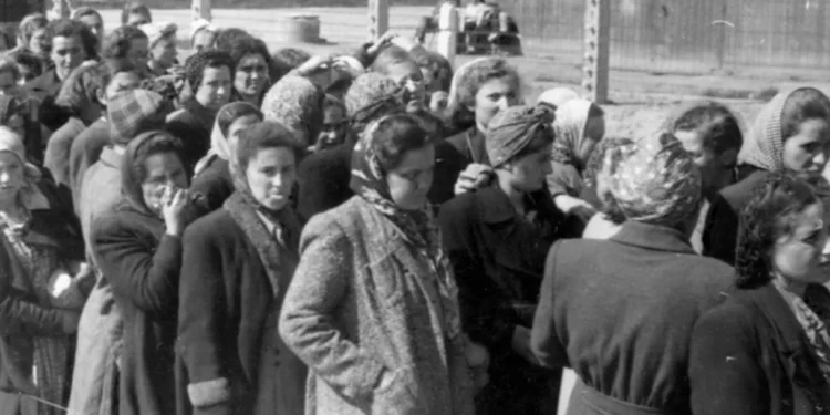 Los nazis intentaron esterilizar a las mujeres judías mediante sus comidas