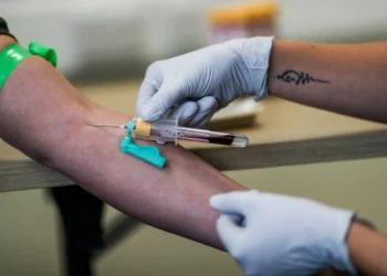 Realizan el primer ensayo de transfusión de glóbulos rojos cultivados en laboratorio