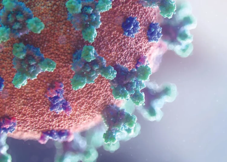 Científicos israelíes descubren 100.000 nuevos virus de ARN