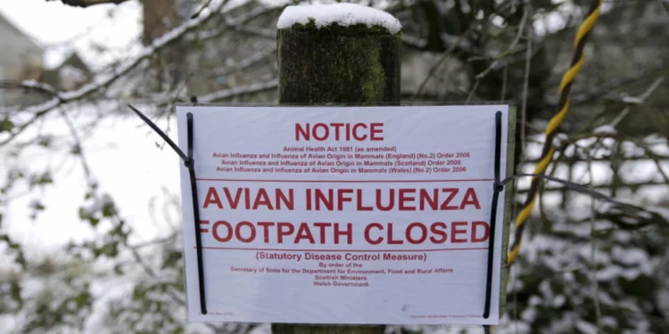 China reporta la primera muerte por gripe aviar H5N1 desde 2015