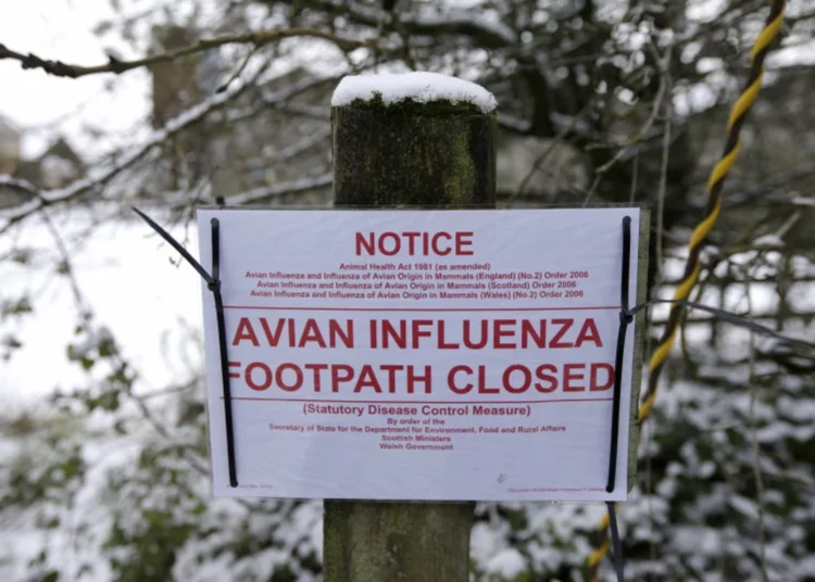 China reporta la primera muerte por gripe aviar H5N1 desde 2015