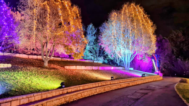 Conozca el mágico Festival de las Luces de Invierno en Jerusalén