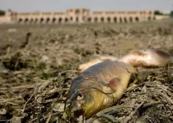 ¿Puede Irán superar su crisis de agua?