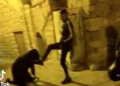 Palestinos que humillaron a un judío reciben arresto domiciliario