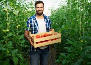 Agricultores israelíes aportan innovación a las nuevas cosechas