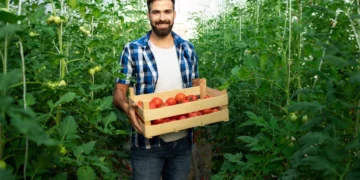Agricultores israelíes aportan innovación a las nuevas cosechas