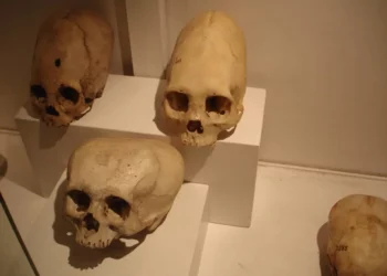 ¿Por qué los antiguos peruanos pintaban de rojo los cráneos de sus antepasados?