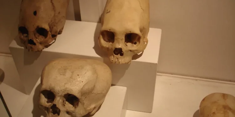 ¿Por qué los antiguos peruanos pintaban de rojo los cráneos de sus antepasados?