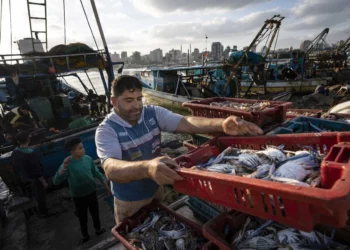 El New York Times se retracta de su falso informe sobre la industria pesquera en Gaza