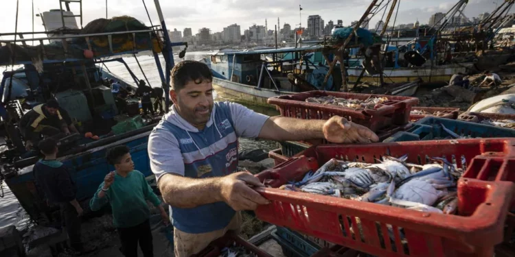 El New York Times se retracta de su falso informe sobre la industria pesquera en Gaza