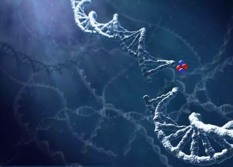 Estudio israelí rastrea marcadores de ADN en las células para acelerar el diagnóstico del cáncer