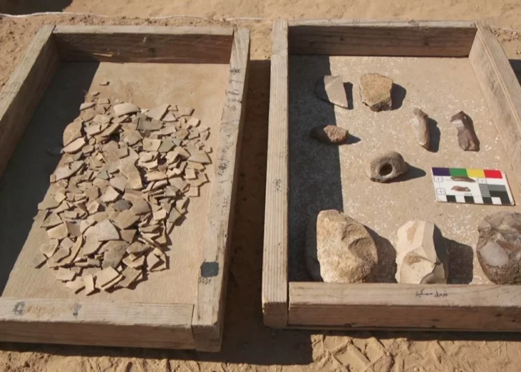 Hallan ocho huevos de avestruz de más de 4.000 años de antigüedad en Israel