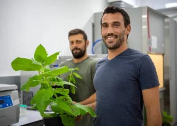 Empresa israelí de agrotecnología Pigmentum recauda $6 millones