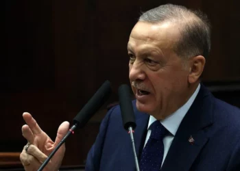 Erdogan pide a Putin que declare un alto el fuego “unilateral” en Ucrania