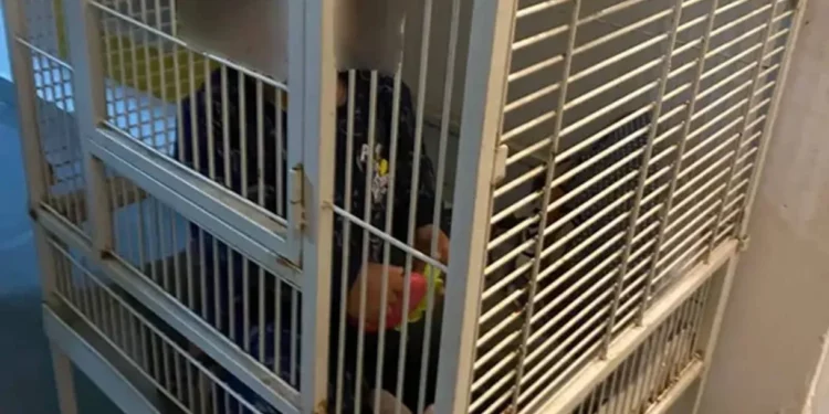 Policía encuentra a un bebé en una jaula metálica en Haifa