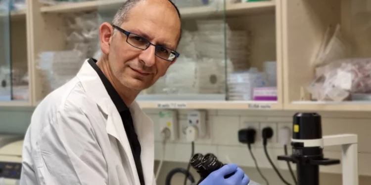 Científicos israelíes desarrollan un prometedor tratamiento contra el cáncer de sangre