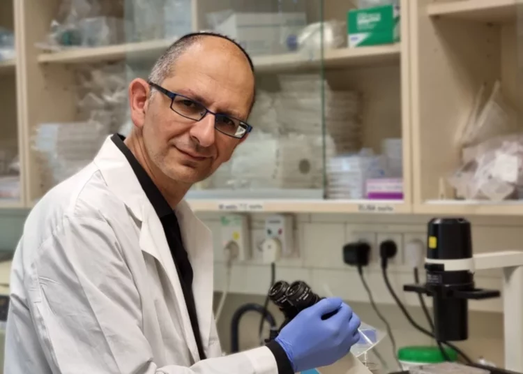 Científicos israelíes desarrollan un prometedor tratamiento contra el cáncer de sangre