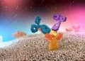 Científicos israelíes construyen enzimas “como si fueran de Lego”: una gran ayuda potencial para los fármacos