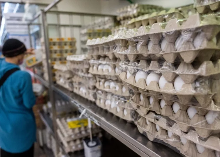 El Gobierno anuncia una subida del 16% en el precio de los huevos regulados