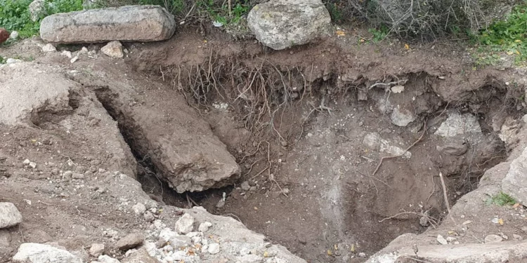 Detienen a ladrones que causaron “daños desgarradores” en un antiguo lagar en Israel