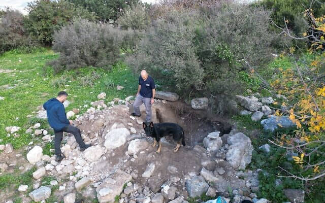 Detienen a ladrones que causaron “daños desgarradores” en un antiguo lagar en Israel