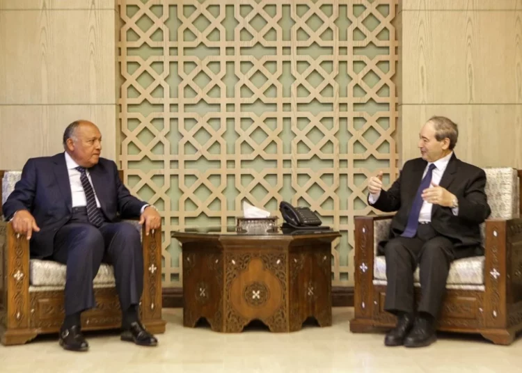 El ministro de Asuntos Exteriores egipcio visita Siria por primera vez en una década