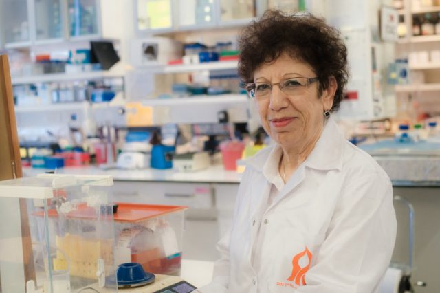 Científicos israelíes afirman haber curado el Alzheimer en ratones con una molécula recién desarrollada