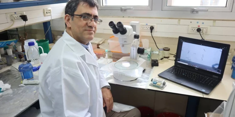 Universidad israelí desarrolla un método de diagnóstico precoz del Alzheimer