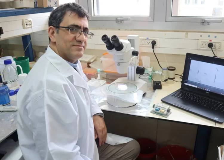 Universidad israelí desarrolla un método de diagnóstico precoz del Alzheimer