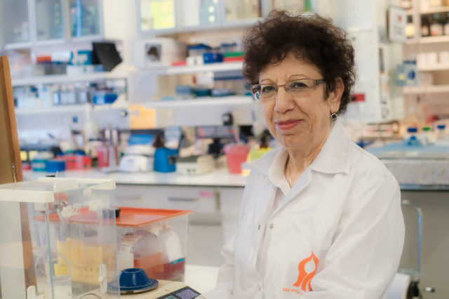 Científicos israelíes desarrollan un novedoso método para tratar el Alzheimer